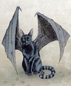 Bat Cat paint by numbers