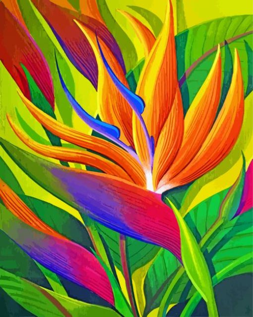 Bird Of Paradise Flower paint by numbers