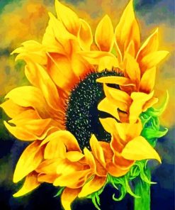 Blooming Sunflower paint by numbers