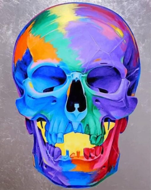 Colorful Skull paint by numbers