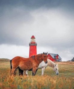 Horses Near To Bovbjerg Lighthouse paint by numbers