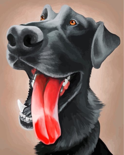 Funny Labrador Dog paint by numbers