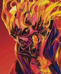 Illustration Ghost Rider Paint By Numbers