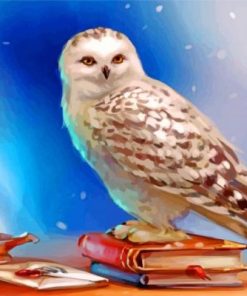 Hedwig Owl paint by numbers