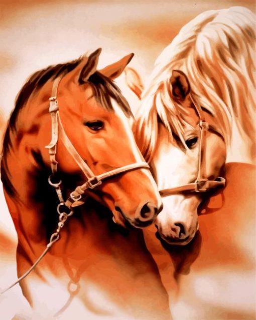 Horse Couple paint by numbers