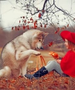 Husky Dog And Little Girl Paint By Numbers