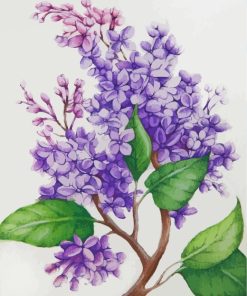 Lilac Flowers paint by numbers