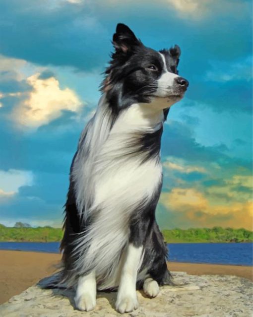 Aesthetic Border Collie paint by numbers