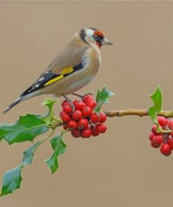 Aesthetic goldfinch Bird paint by numbers