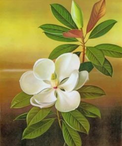 White Magnolia paint by numbers