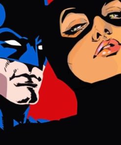 Batman And Catwoman paint by numbers