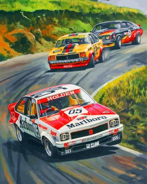 Brock Bathurst 1979 paint by numbers