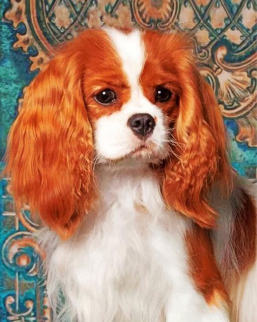 King Charles Cavalier paint by numbers