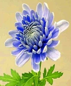 Chrysanthemum Flower paint by numbers