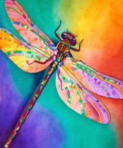 colorful dragonfly paint by numbers