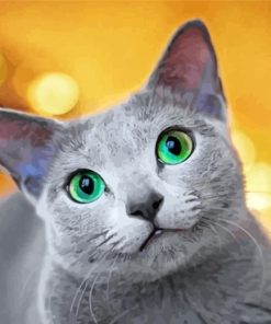 Cute Russian Blue Cat Paint By Numbers