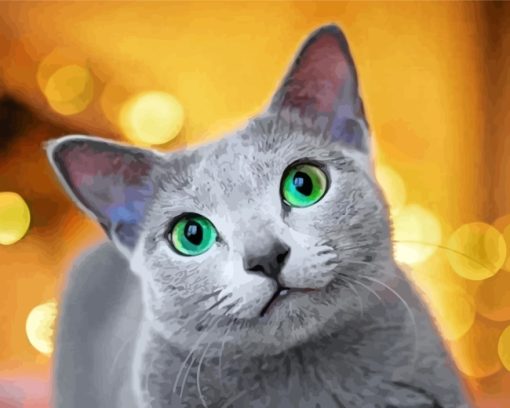 Cute Russian Blue Cat Paint By Numbers