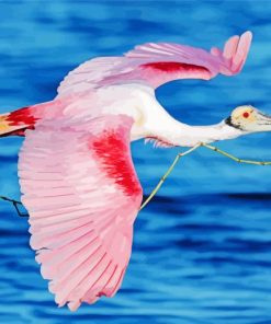 Pink Roseate Spoonbills Paint By Numbers