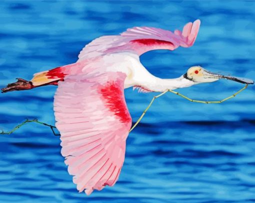 Pink Roseate Spoonbills Paint By Numbers