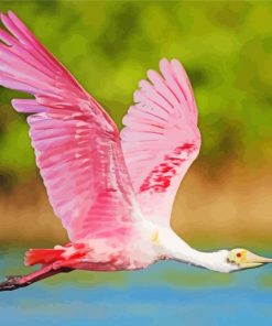 Flying Roseate Spoonbills Paint By Numbers