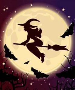 Halloween Witch Flying Paint By Numbers