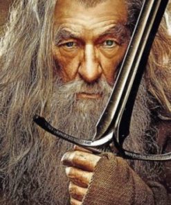 Gandalf Lord Of The Rings paint by numbers