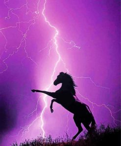 Horse Lightning paint by numbers