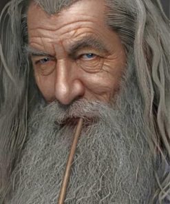 Lord Of The Rings Gandalf paint by numbers