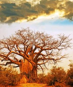 Oldest Baobab Tree painting by numbers