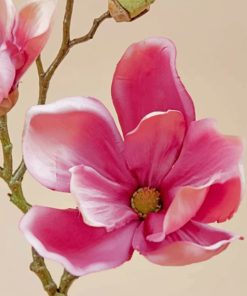 Pink Magnolia paint by numbers