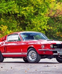 Red Ford GT 500 paint by numbers