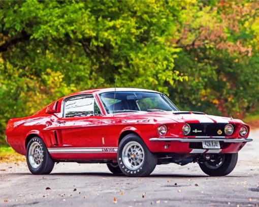 Red Ford GT 500 paint by numbers