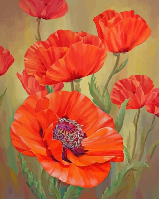 Red Poppies paint by numbers