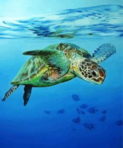 Sea Turtle Swimming In The Water paint by numbers