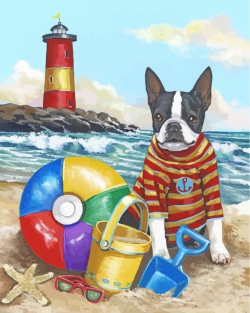 Summertime With Boston Terrier