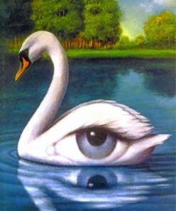 Swan Eye Paint By Numbers