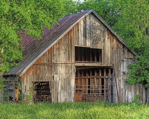 Old Texas Barn Paint By Numbers