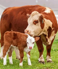 White And Brown Cows Paint By Numbers