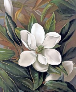 Magnolia Flower paint by numbers