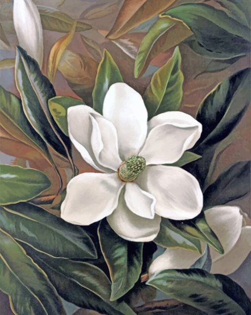 Magnolia Flower paint by numbers