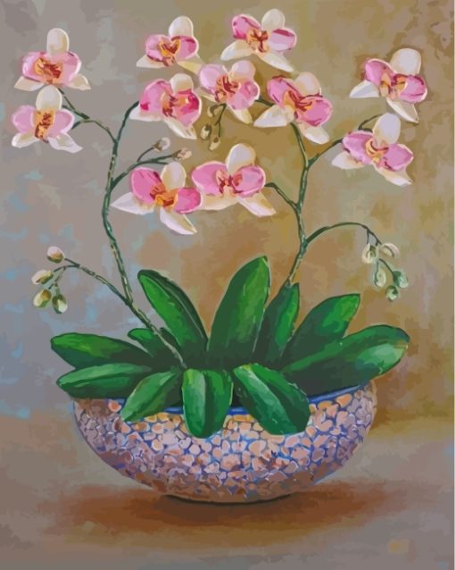 Orchid Flowers Paint By Numbers