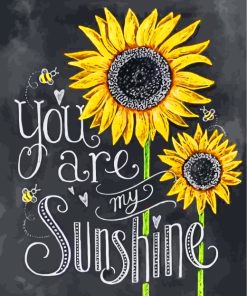 You Are My Sunshine paint by numbers