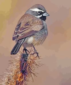 Black Throated Sparrow Paint By Numbers