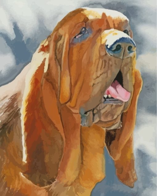 Bloodhound Dog Paint By Numbers