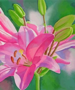 Blooming Pink Lilies Paint By Numbers