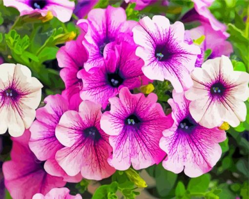 Purple Petunia Paint By Numbers