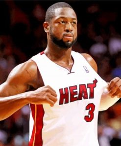 Dwyane Wade Paint By Numbers