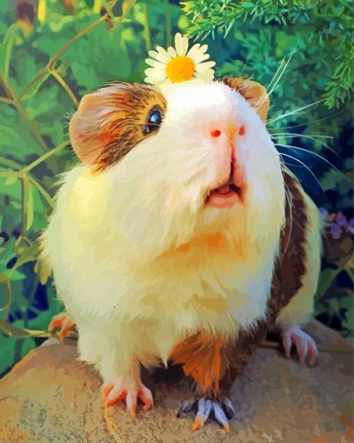 Guinea Pig And Flower Paint By Numbers