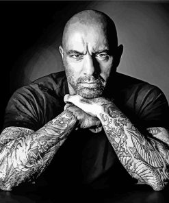 Monochrome Joe Rogan Paint By Numbers