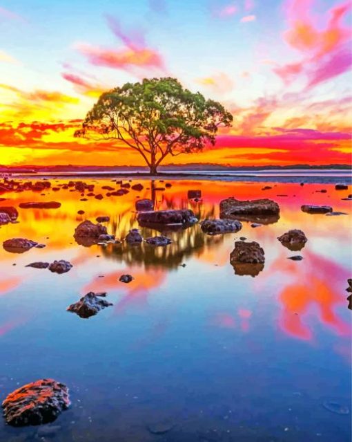 Lake Tree At Sunset Paint By Numbers